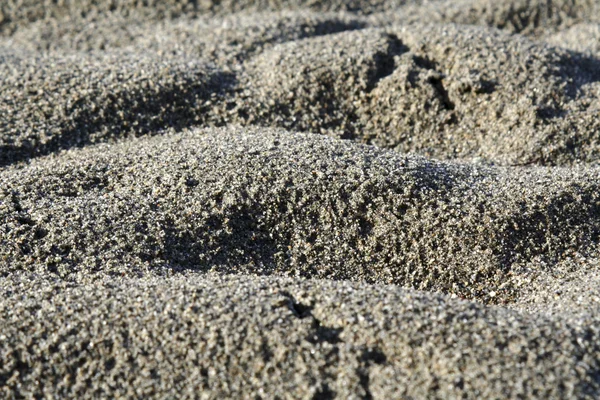 Bird footprints — Stock Photo, Image