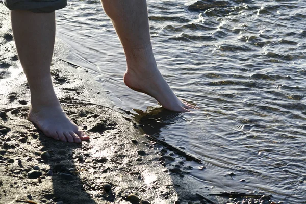 Probando el agua — Foto de Stock