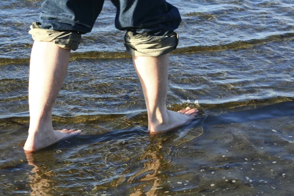 Wading — Stock Photo, Image