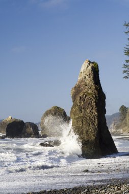 Dalgalar ve seastacks