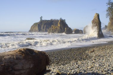 Dalgalar ve seastacks