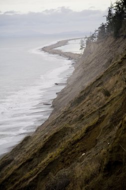 Kışın Dungeness tükürük