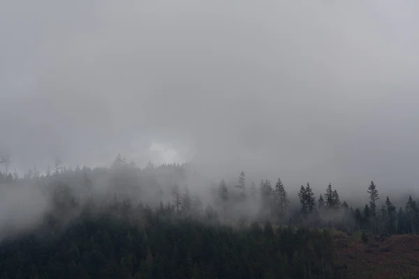 Foggy ridge line — Stock Photo, Image