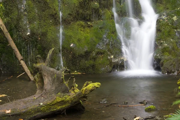 Waterval en log — Stockfoto