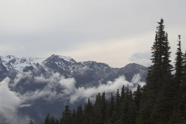 多雪的山 — 图库照片