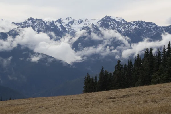 Snowy mountains — Stock Photo, Image