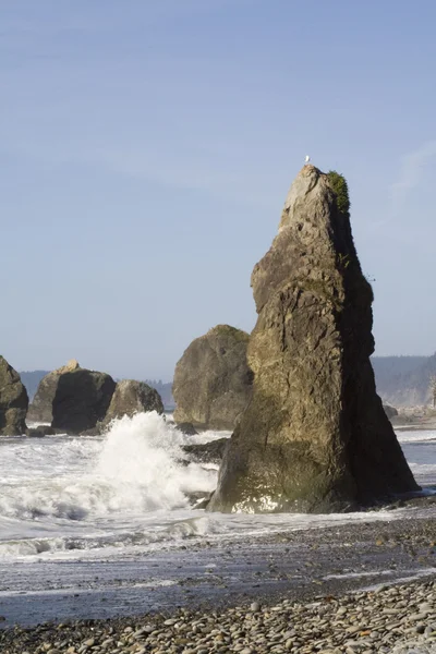 Foaming Sea and Sea Stacks — Stock Photo, Image