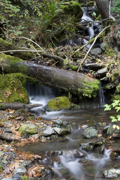 Small wilderness waterfall — Stock Photo, Image