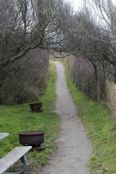 Winter walkway — Stock Photo, Image