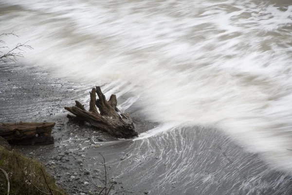 Log e ondas — Fotografia de Stock