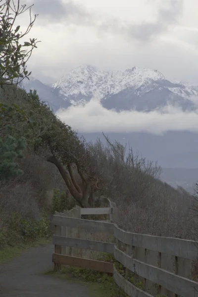 Pasarela de invierno — Foto de Stock