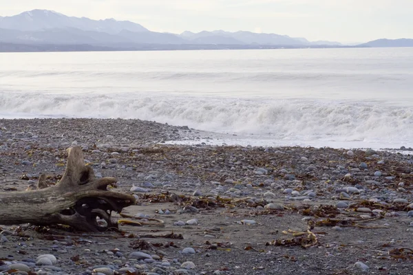 Olympic mountains and Dungeness Spit — Stock Photo, Image