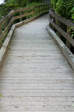 ahşap köprü
