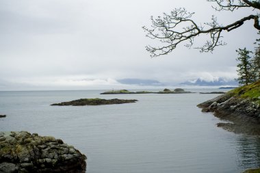 mujer joven de belleza Spa