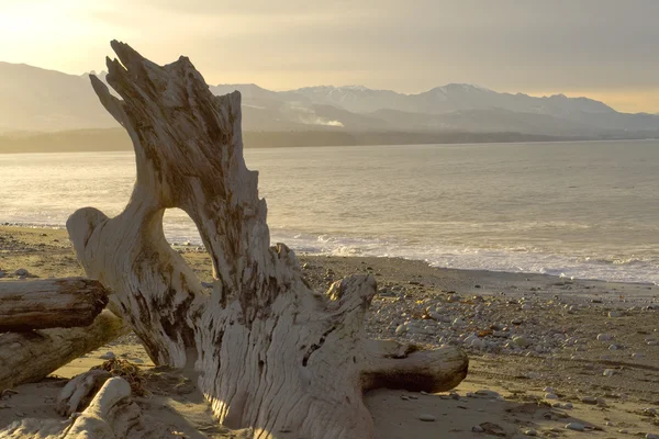 Wilderness beach — Stock Photo, Image