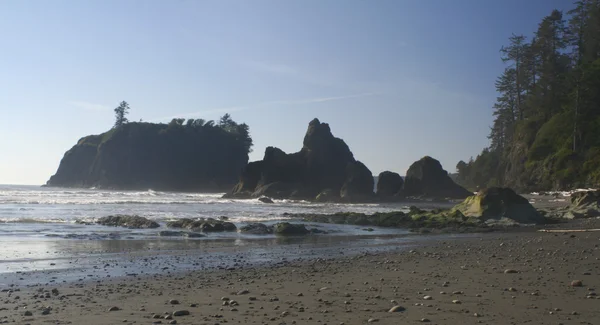 Ruby Beach — Stockfoto