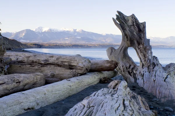 Wilderness beach — Stock Photo, Image