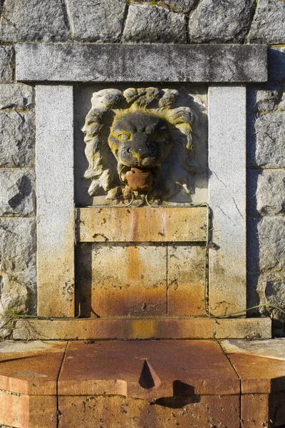 Escultura jardín león —  Fotos de Stock