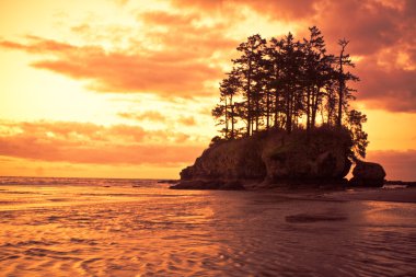 Pasifik kıyısında günbatımı