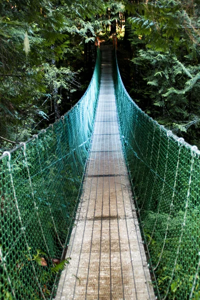 Scary suspension bridge — Stock Photo, Image