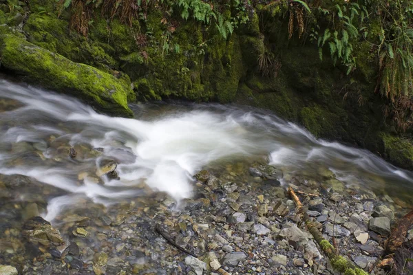 Pequena cachoeira — Fotografia de Stock