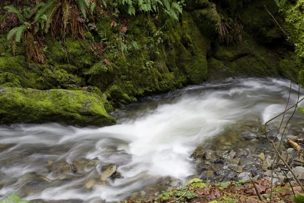 Kleine waterval — Stockfoto