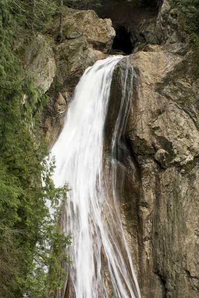 Twin Falls — Stock Photo, Image