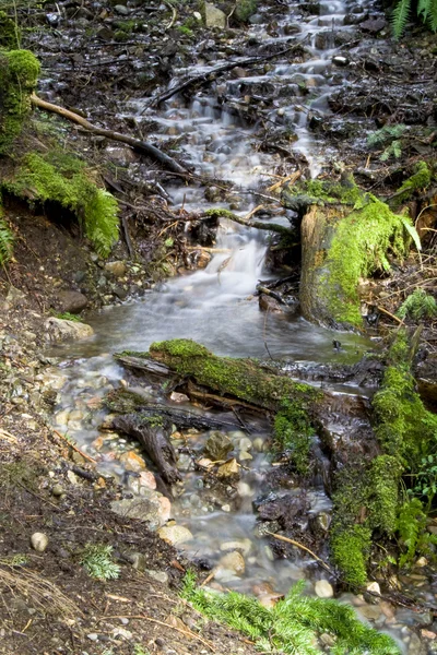 Pequeño río —  Fotos de Stock