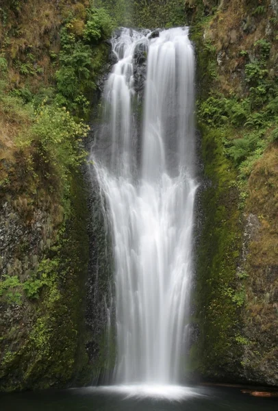 Cachoeira do Pacífico Noroeste — Fotografia de Stock