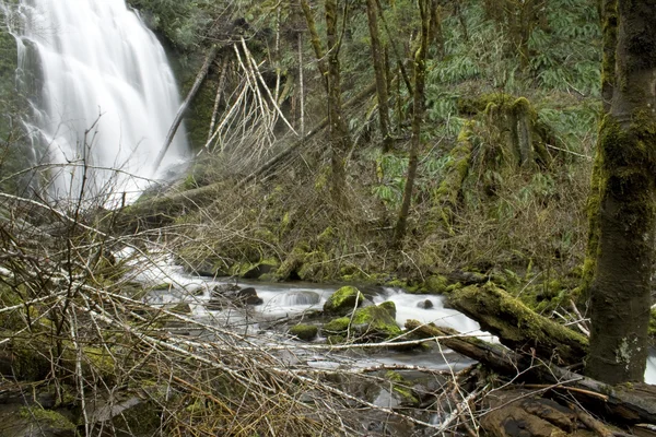 Oregano-Wasserfall — Stockfoto