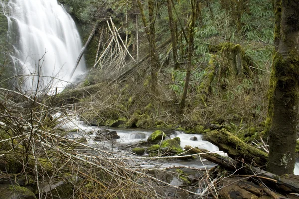 Cascada de Oregon — Foto de Stock