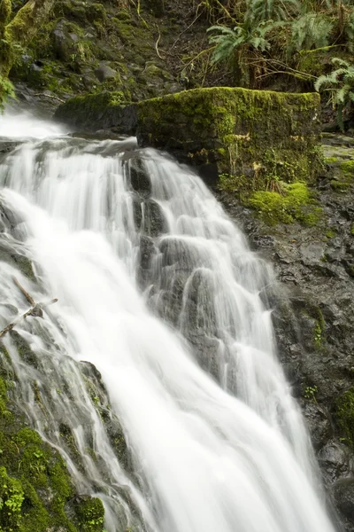 Oregon vattenfall — Stockfoto