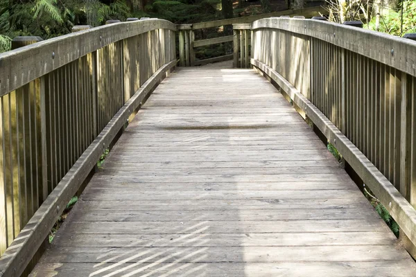 Wooden bridge Royalty Free Stock Photos