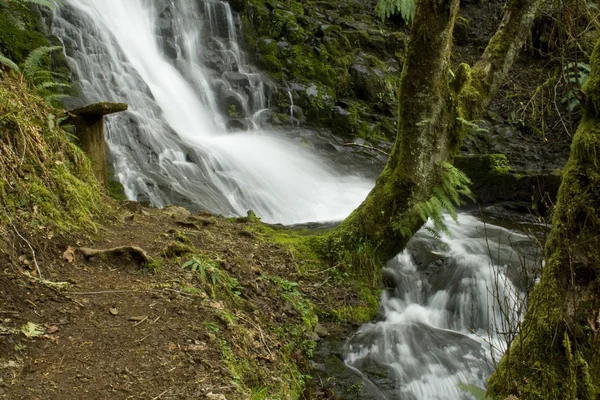 Oregon waterval — Stockfoto