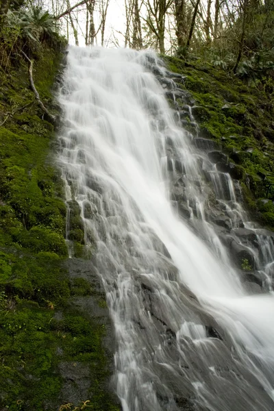 Oregon vattenfall — Stockfoto