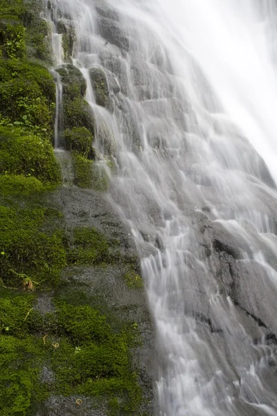 Oregon vattenfall — Stockfoto