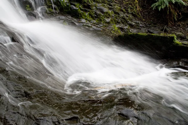 Cascada de Oregon —  Fotos de Stock