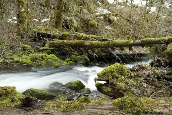 Wilder Fluss — Stockfoto