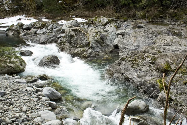 Río en primavera — Foto de Stock