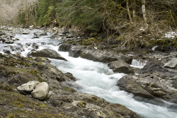 River in spring — Stock Photo, Image