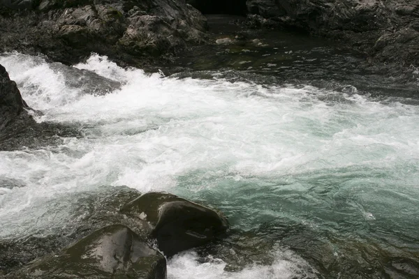 River in spring — Stock Photo, Image