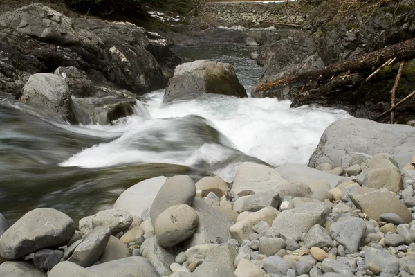 Fiume in primavera — Foto Stock