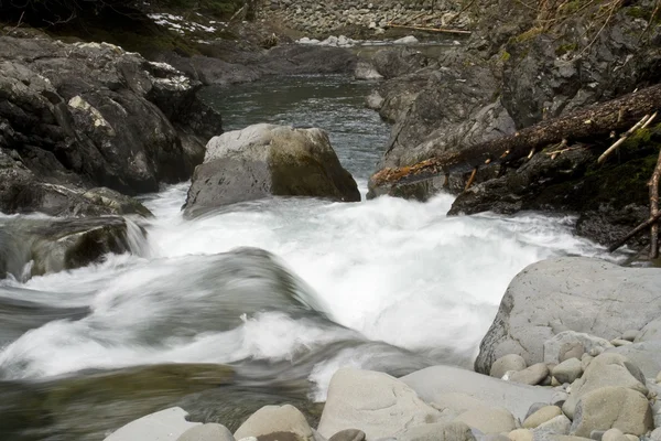 Río en primavera — Foto de Stock