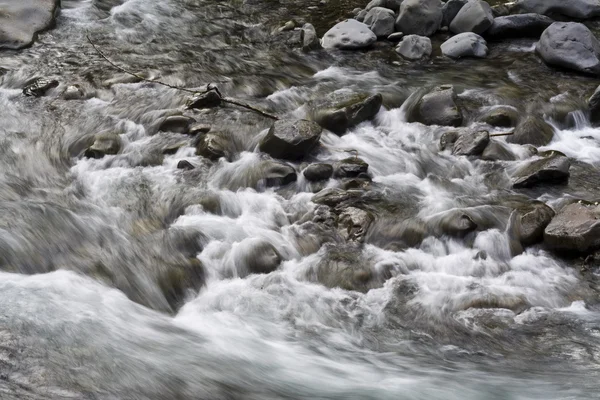 İlkbaharda nehir — Stok fotoğraf