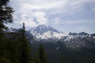 Mt. Rainier