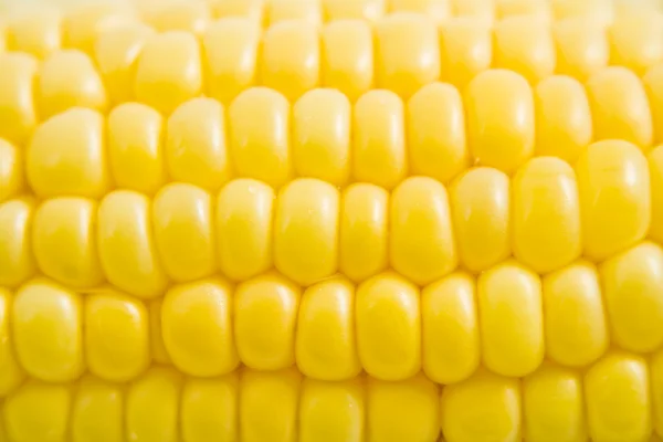 Детали кукурузы — стоковое фото