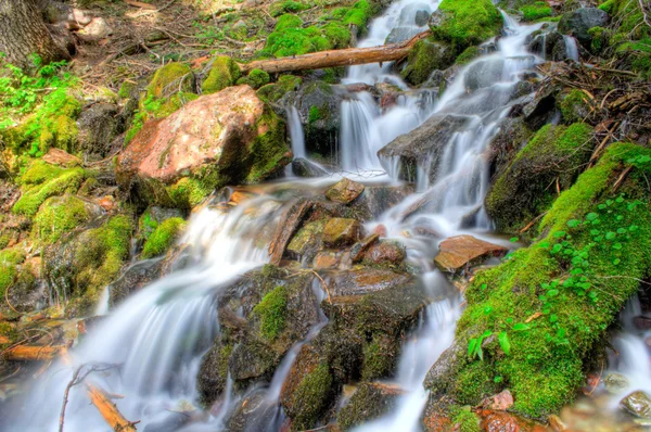 Rainier vattenfall — Stockfoto