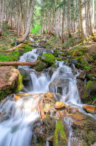 Rainier vattenfall — Stockfoto