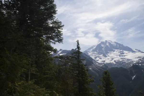 Mt. Rainier — Stok fotoğraf