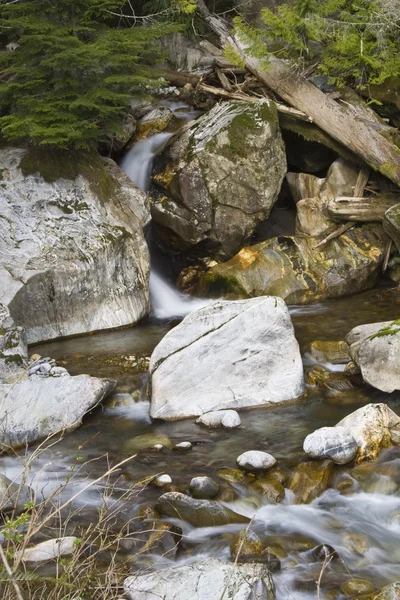 Ladder Creek Falls — Stockfoto